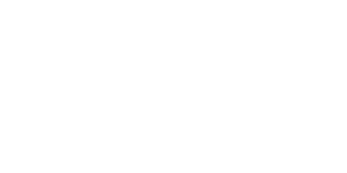 Dansek Group SRL Logo